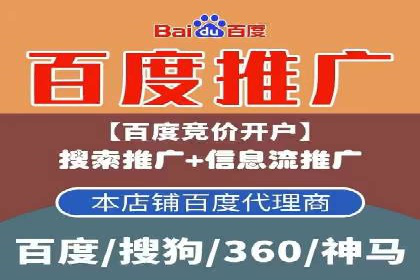 深度解析：百度竞价排名的成功案例及启示